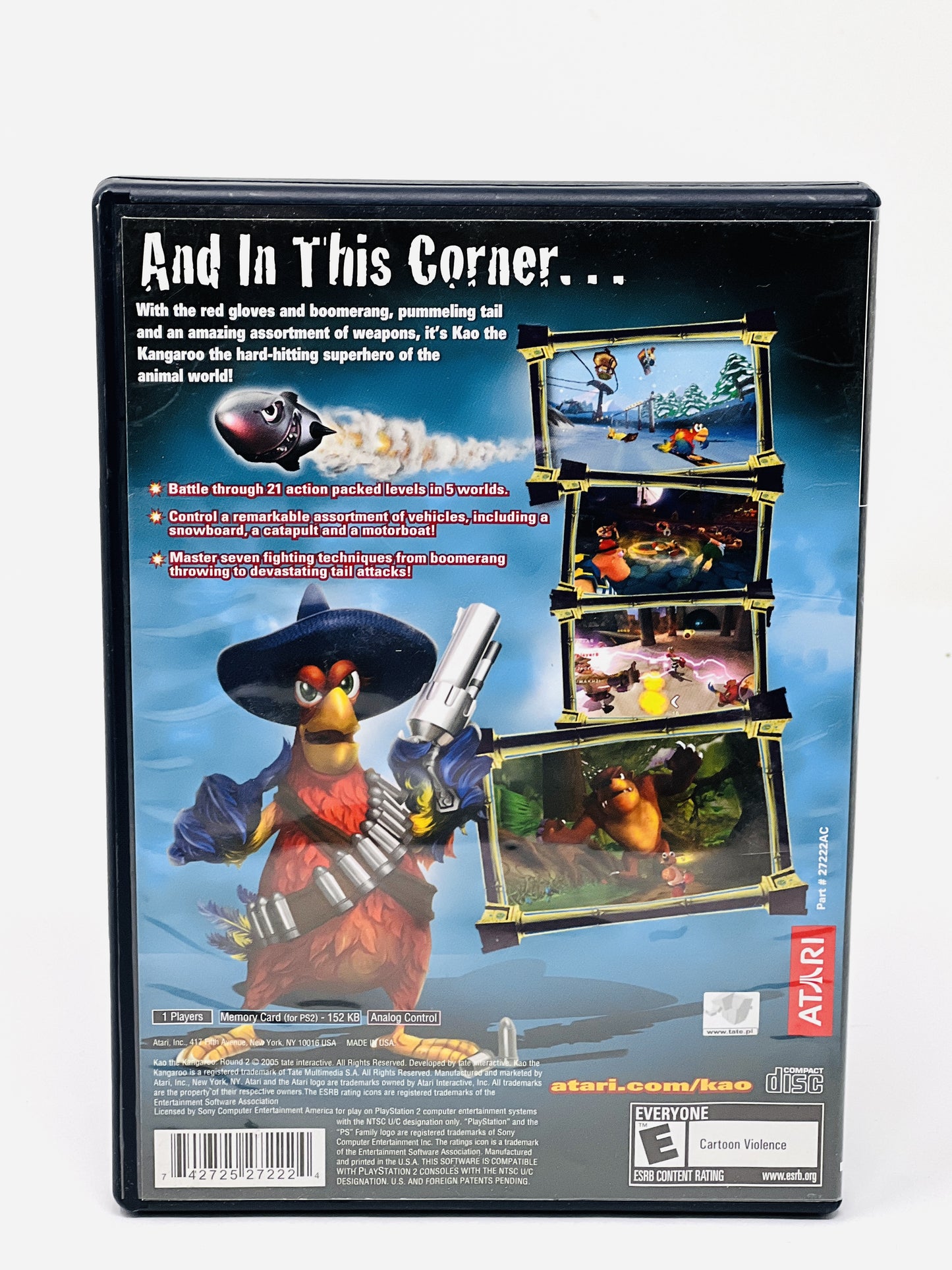 Kao the Kangaroo Round 2