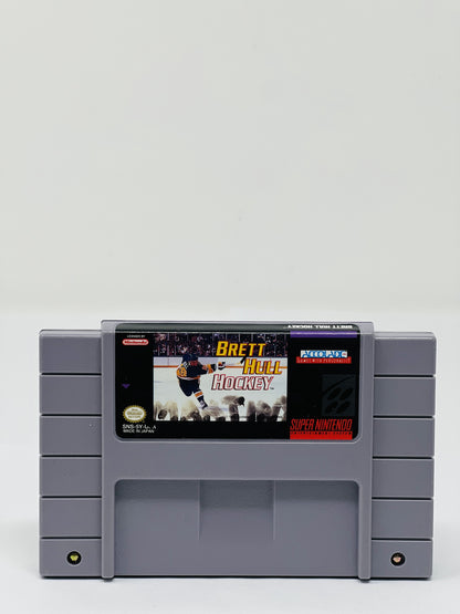 Brett Hull Hockey