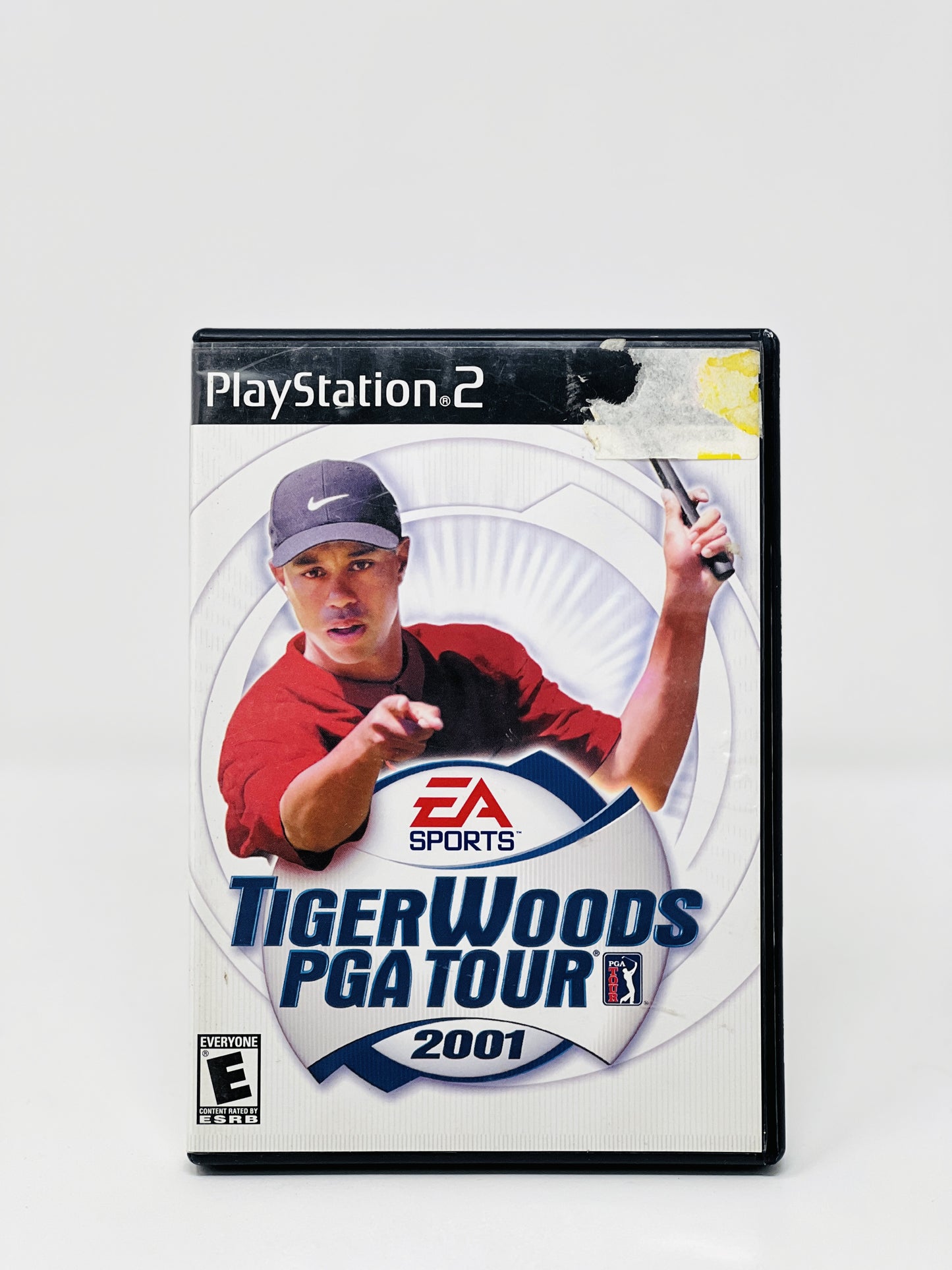 Tiger Woods PGA Tour 2001